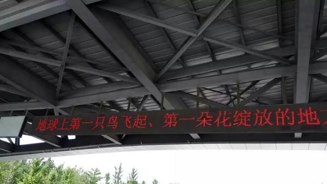 世界上第一朵花綻放的地方，第一只鳥飛起的地方